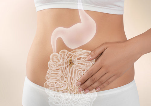 Digestive Health